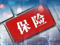 业绩会回应六大热点！中国太保管理层：稳步推进“三大战略”，响应长期资金入市号召